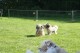 Thumbs/tn_Bild-01 033.jpg